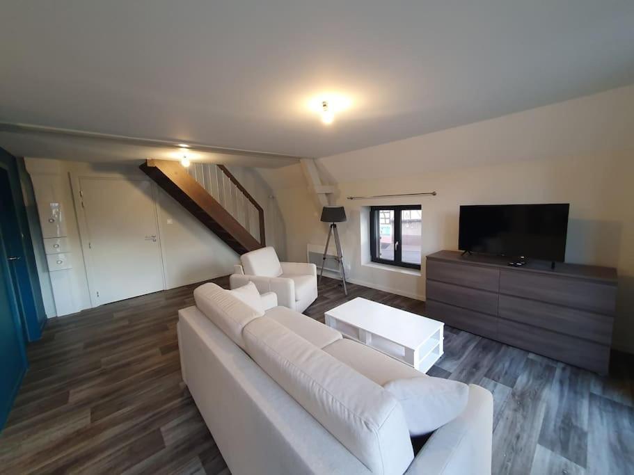 Appartement 2 Pieces Tout Confort, Aux Portes De Colmar Andolsheim Exterior foto