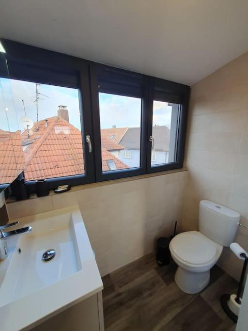 Appartement 2 Pieces Tout Confort, Aux Portes De Colmar Andolsheim Exterior foto
